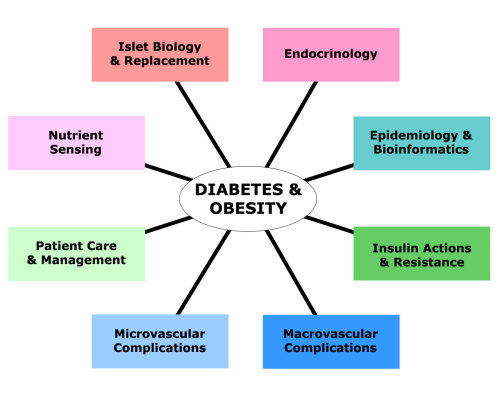 Causes Of Diabetes - Obesity